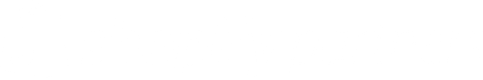Shopify Partner